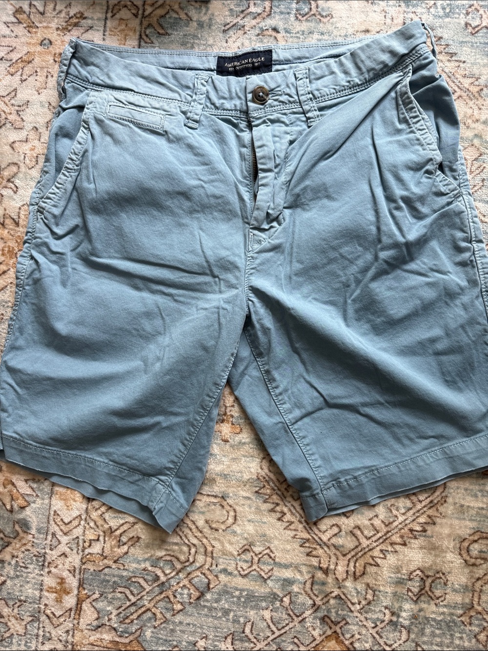 American Eagle Outfitters Men’s Dusty Blue Flat-Front Cotton Shorts